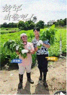 剧情大片电影《巷口的光》海报